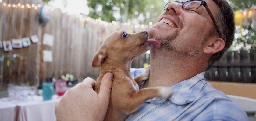 Eve Yeni Gelen Yavru Köpek, İlk Sahiplenme