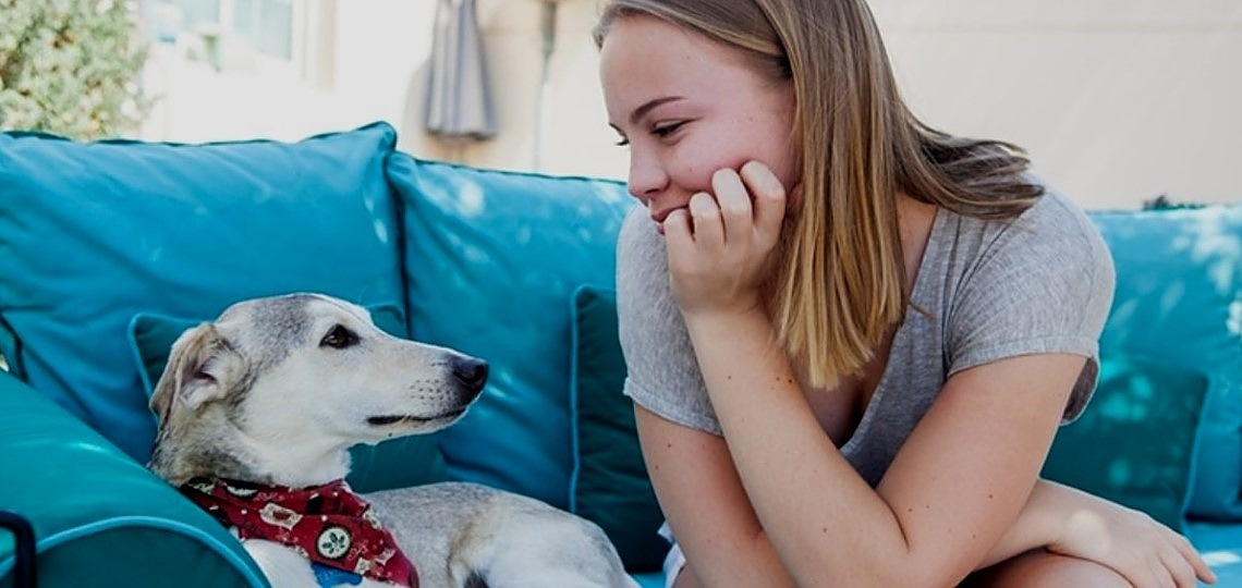 Köpeklerde İnsan Yılı Hesaplamasında Şaşırtan Gerçek Ortaya Çıktı