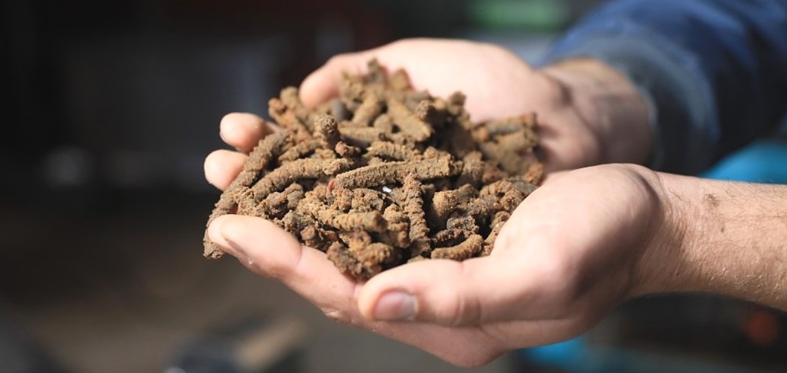 Gıda Atıkları Köpek Mamasına Dönüşüyor