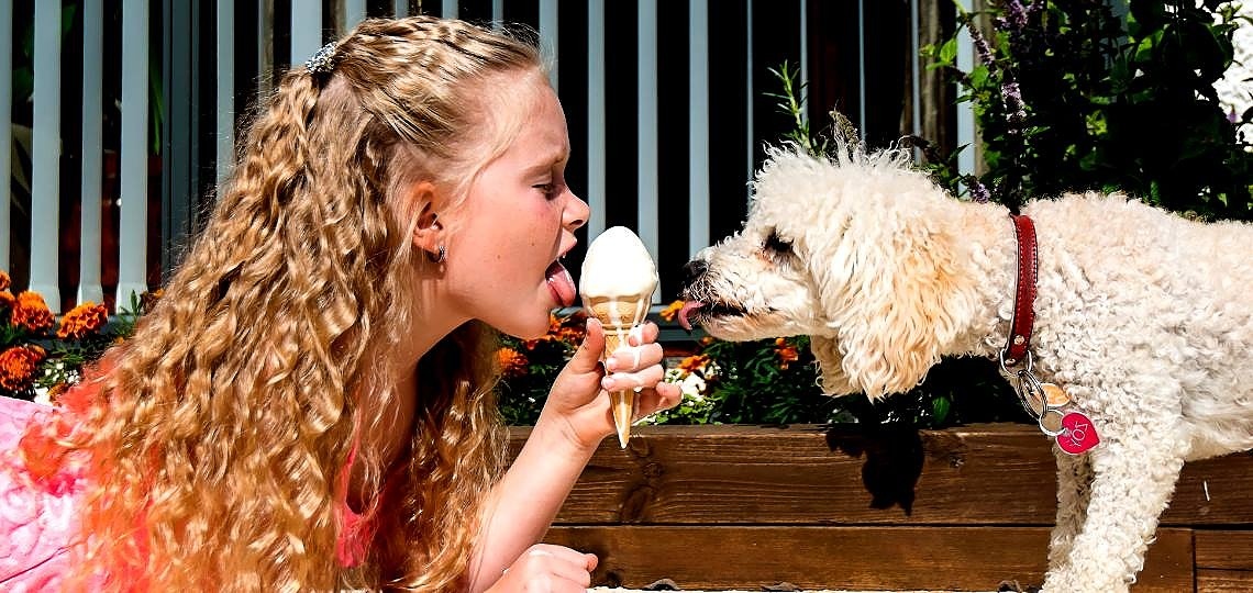 Köpeğinizi Serinletecek En İyi Yaz Yiyecekleri