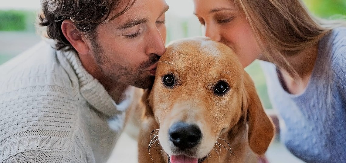 İlk Kez Köpek Sahiplenecekler İçin En Uygun 10 Irk