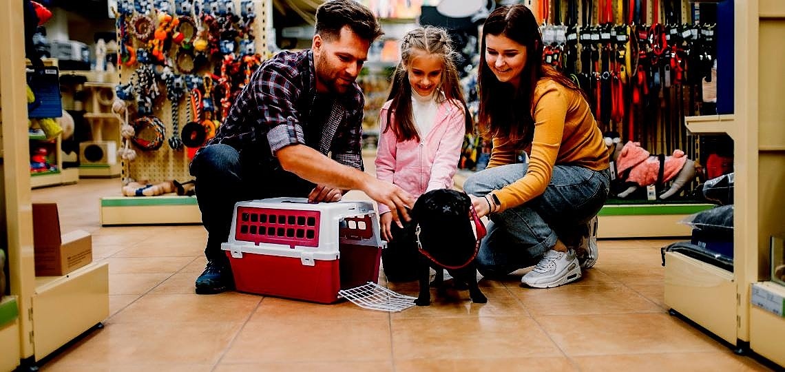 Köpeklerin Sağlığı ve Konforu için Gerekli Ürünler