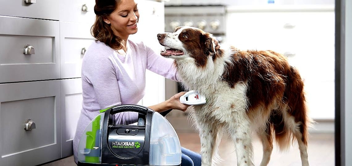 Köpeğiniz için Bahar Temizliği