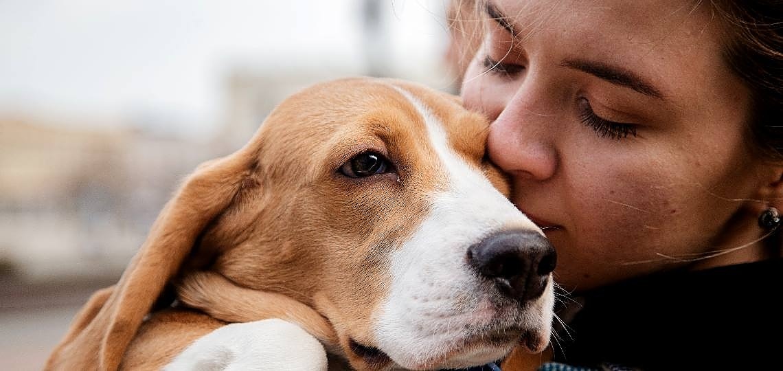 Köpeklerin Hoşlanmadığı Durumlar