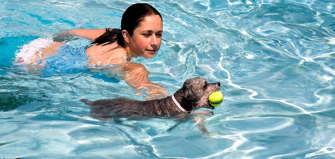 Köpeğinizle Yapabileceğiniz Eğlenceli Su Sporları