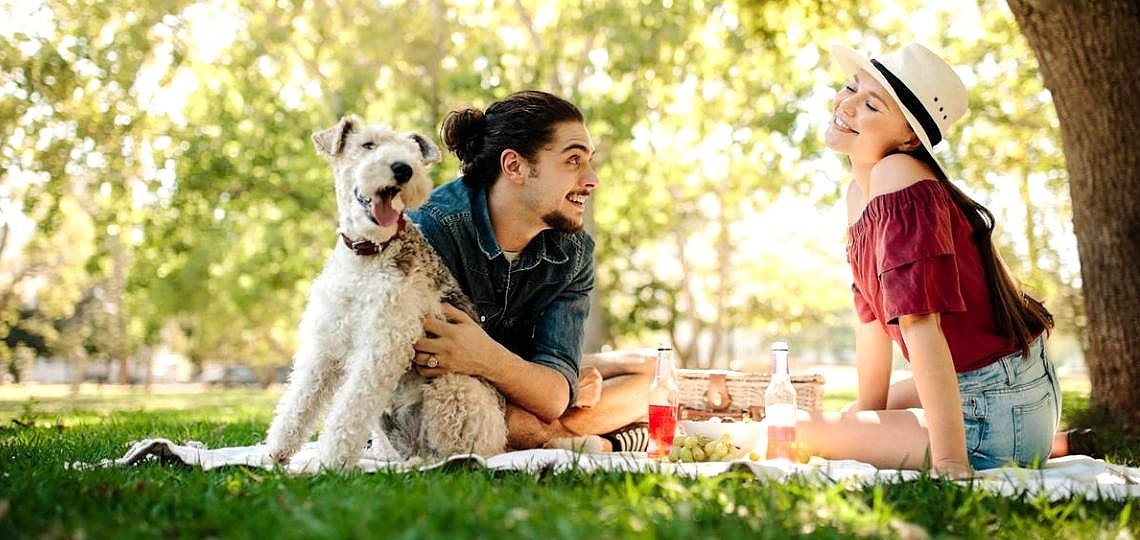 Köpekleriniz ile Birlikte Yaz Aktiviteleri