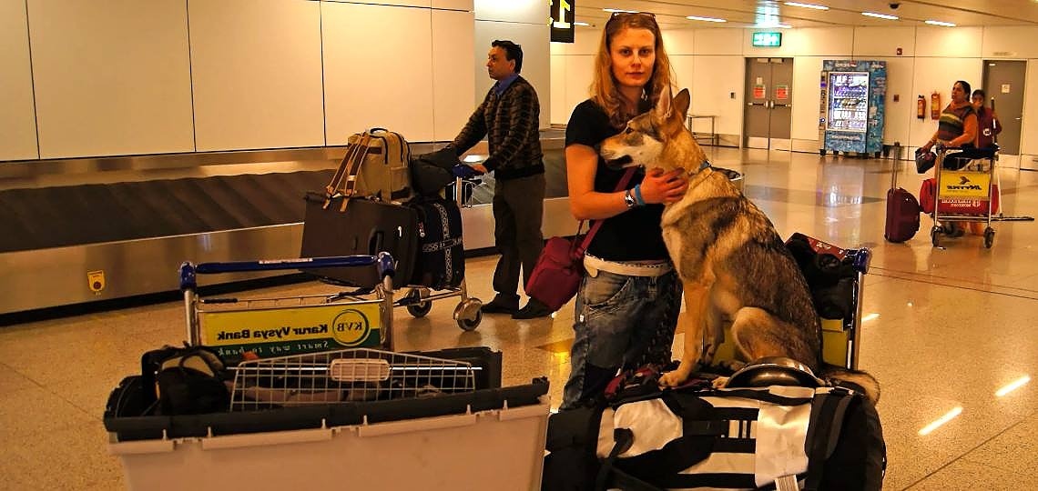 Köpeğiniz ile Birlikte Yurt Dışına Taşınma Rehberi
