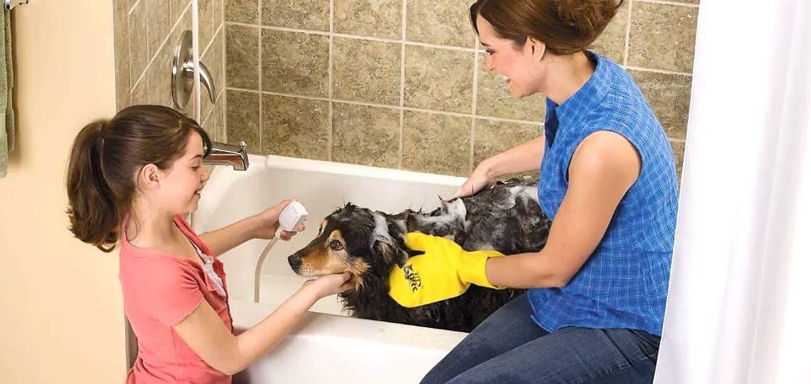Köpeğinizin Banyosunu Kolaylaştıracak 6 İpucu