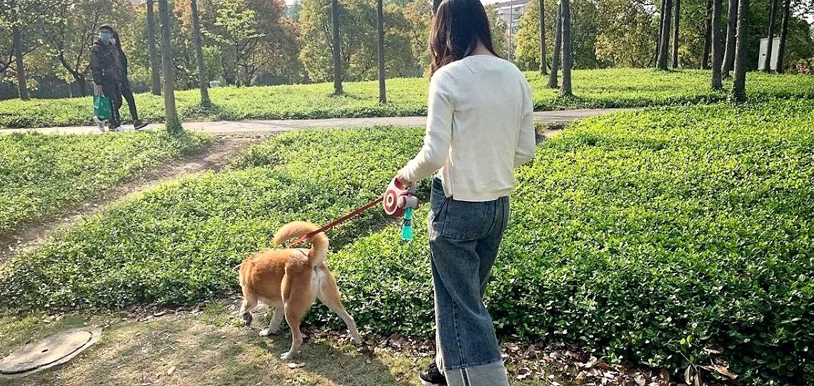 Köpek Bakıcısı Tutmadan Önce Sorulacak 5 Soru