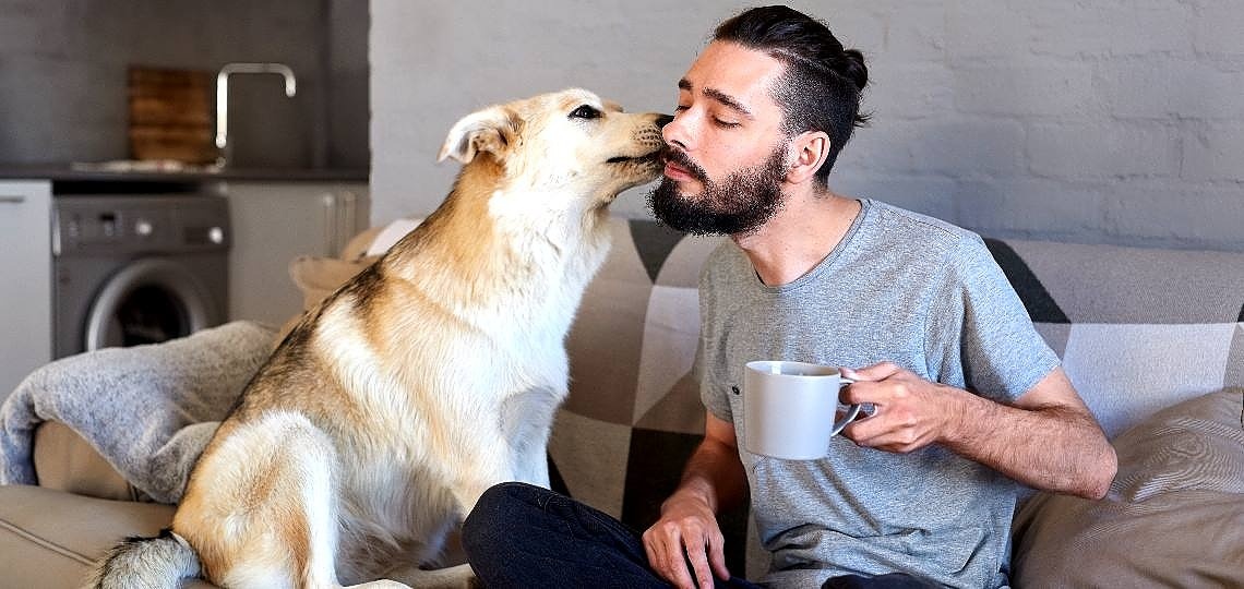 Köpeğinize Onu Sevdiğinizi Nasıl Gösterirsiniz?