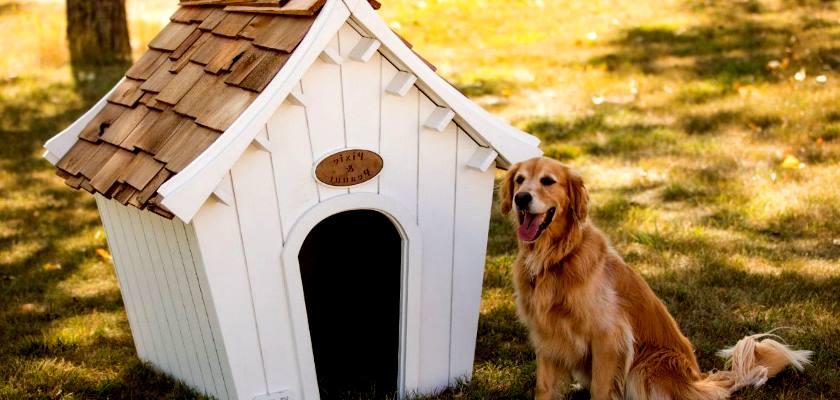 En İdeal Köpek Kulübesi Nasıl Seçilir?  Nasıl Yapılır? ve Ölçüleri