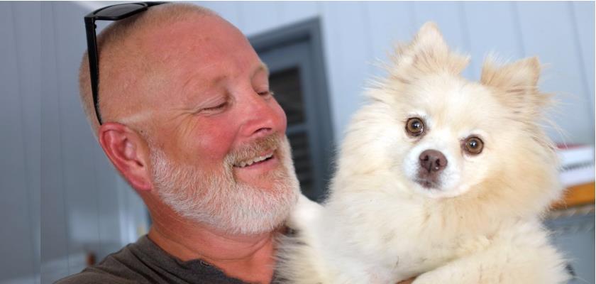 Gülen Köpek Pomeranian Boo, Sahibinden Kısa Notlar