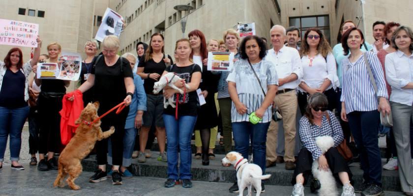 Hayvan Hakları Kanunun'da Yeni Yasa Değişikliği Talebi Gecikmedi