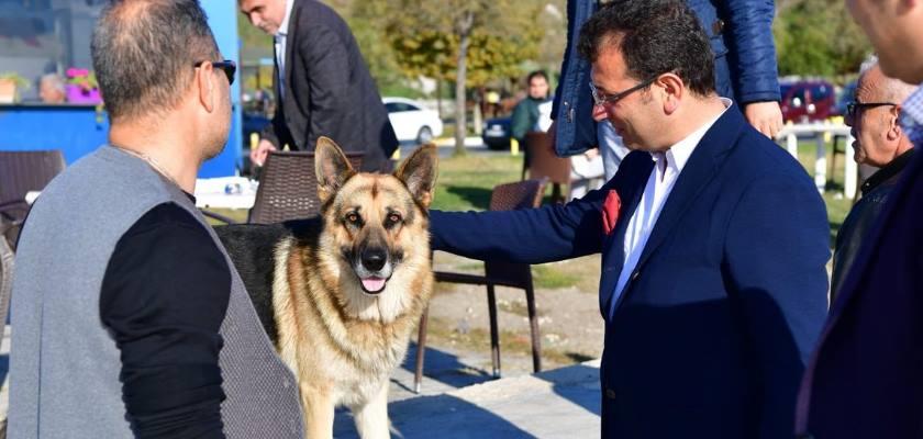 Ekrem İmamoğlu Projesi: İstanbul Sokak Hayvanları