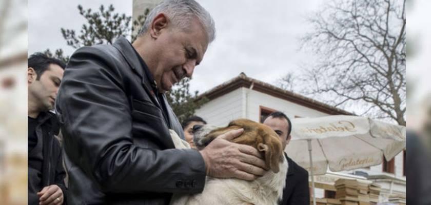 Hayvanseverleri Sevindirecek Proje Binali Yıldırım'dan Geldi