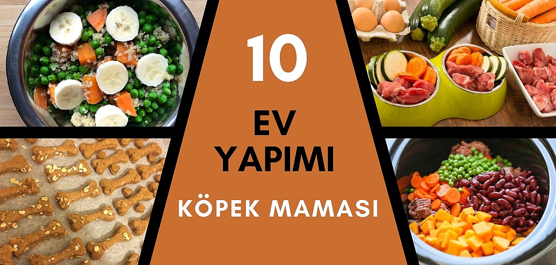 Saglikli Ve Besleyici Ev Yapimi 10 Kopek Mamasi Tarifi