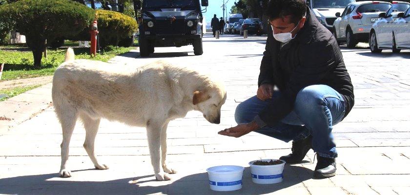 Pandemi Nedeniyle Boş Kalan Sokaklarda Onlara Umut Oldular