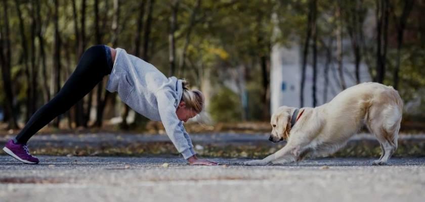 Köpeklerin İnsan Sağlığına Olumlu Etkileri