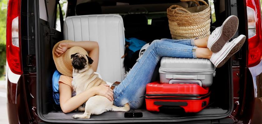 Köpeğiniz ile Çıkacağınız Tatil Planınız Hazır Mı?
