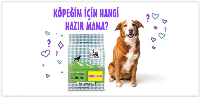 Hazır Köpek Maması Kullananlara ve Yeni Başlayacaklara, Tavsiyeler ve Fiyatlar