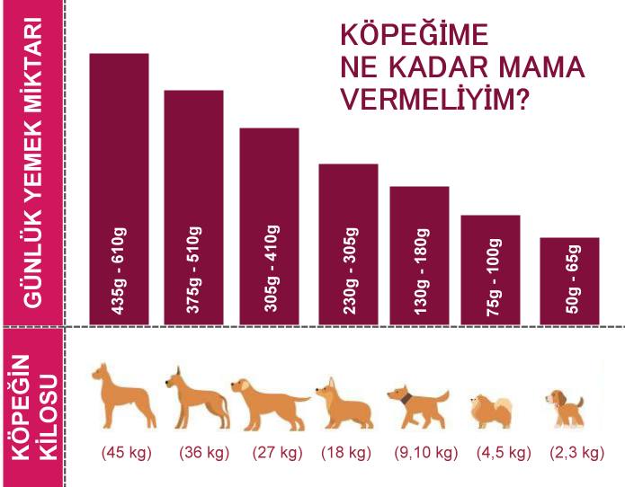 Yavru Kopekler Icin Beslenme Programi